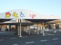 Medium_とっとり花回廊 (5)s
